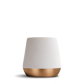 Joey Double Wall Ceramic Mugs 8 oz - Matte White - Joey 8 oz