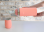 Wine Chiller - Coral